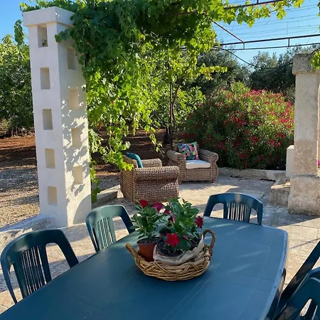 Don Vito Surrounded By Centuries-old Olive Trees Monopoli