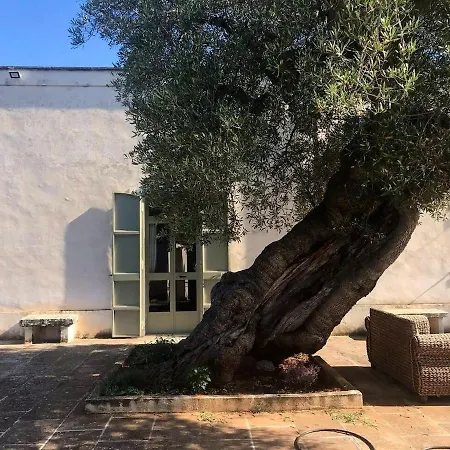 Don Vito Surrounded By Centuries-old Olive Trees Apartment
